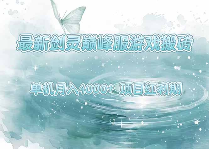 剑灵巅峰服搬砖攻略_单机稳定月入4000+_操作简单新手必看-资源网站