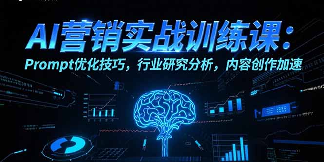 AI营销实战训练课：精准Prompt优化技巧_行业深度分析与内容创作加速指南-资源网站