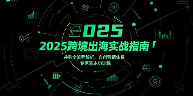 2025跨境出海攻略：并购全流程深度解析+自创营销体系实战与专家基础训练