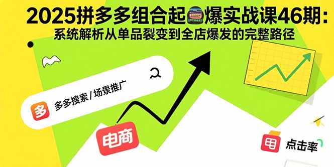 2025拼多多组合起爆实战课46期：单品裂变到全店爆发的完整赚钱路径-资源网站