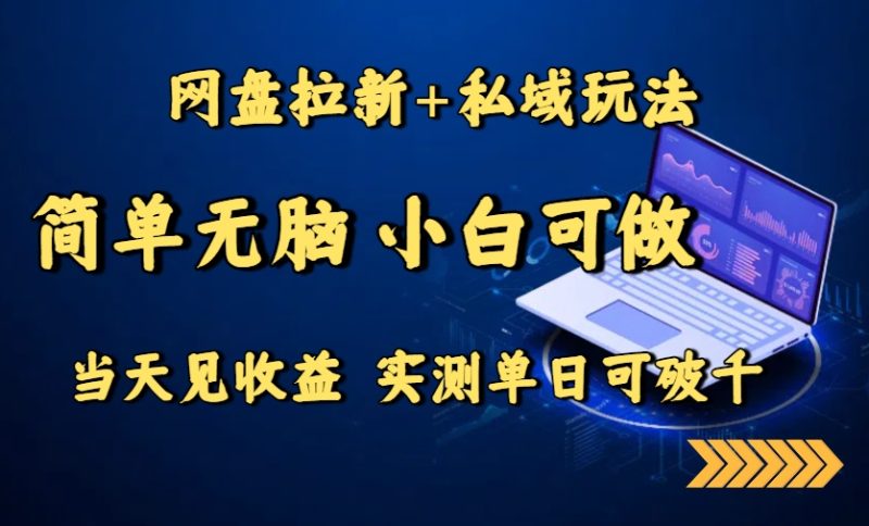 网盘引流+私域运营-零基础也能赚钱-当天赚千元-资源网站
