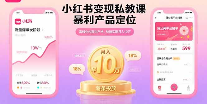小红书月入 10 万不是梦-这套实战课程带你飞