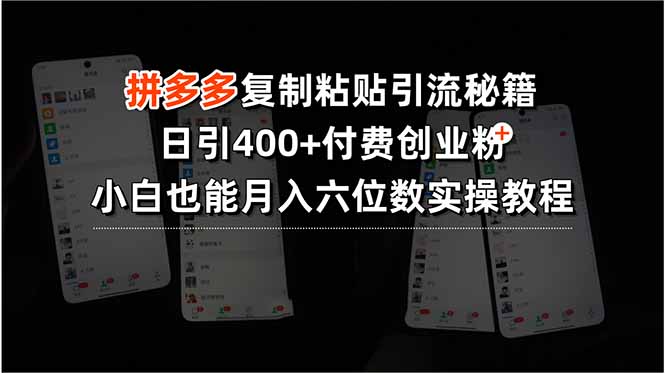 拼多多引流秘籍：日引400+付费创业粉_零基础月入六位数的实战指南-资源网站