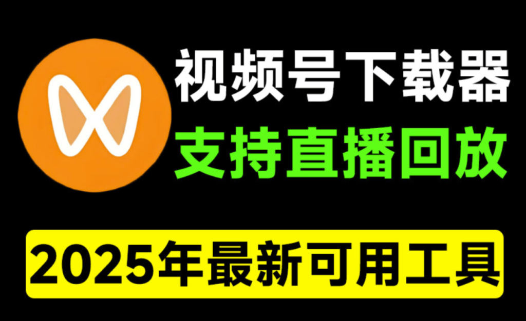 图片[1]-2025最新版视频号下载器-轻松一键下载直播回放-MP4格式保存-操作简便