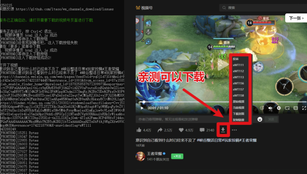 图片[3]-2025最新版视频号下载器-轻松一键下载直播回放-MP4格式保存-操作简便