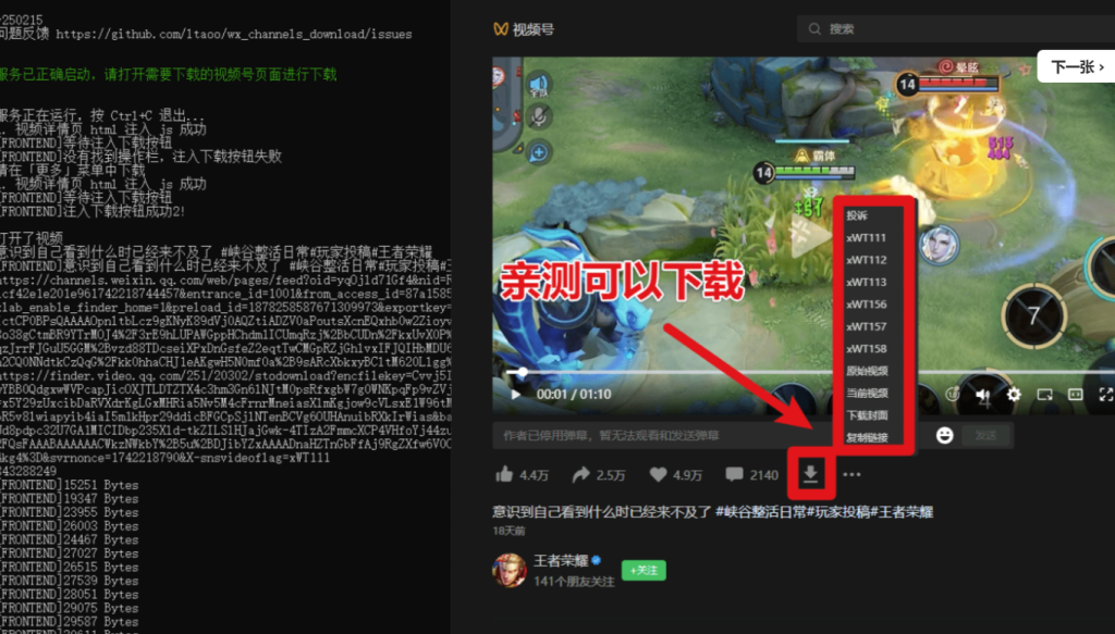 图片[4]-2025最新版视频号下载器-轻松一键下载直播回放-MP4格式保存-操作简便
