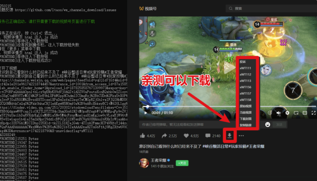 图片[6]-2025最新版视频号下载器-轻松一键下载直播回放-MP4格式保存-操作简便
