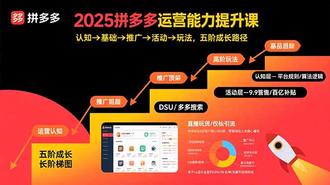 从零到爆款：2025拼多多运营能力提升全攻略-资源网站