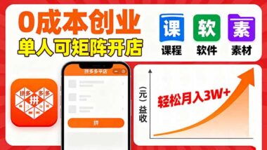 虚拟玩法选拼多多：低试错-高回报的赚钱捷径-资源网站