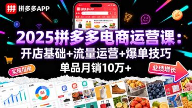 拼多多单品爆单实战课：25个案例助你轻松开店赚钱-资源网站