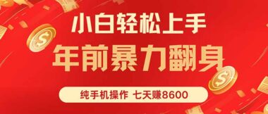 手机轻点日入1000+_新手小白也能躺赚的暴利项目-资源网站