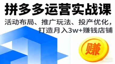 22节实战课-从零打造月均3万+利润拼多多店铺-资源网站