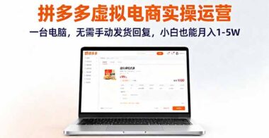 多多虚拟类目：无需手动操作-轻松开启矩阵盈利-资源网站