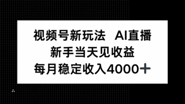 AI直播轻松入门-月入4000+_新手小白也能快速见效-资源网站