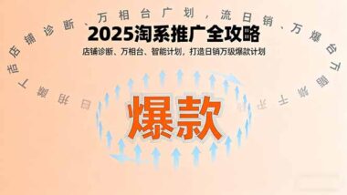 从零到英雄：淘系付费推广全攻略_月利润增3.2万-资源网站