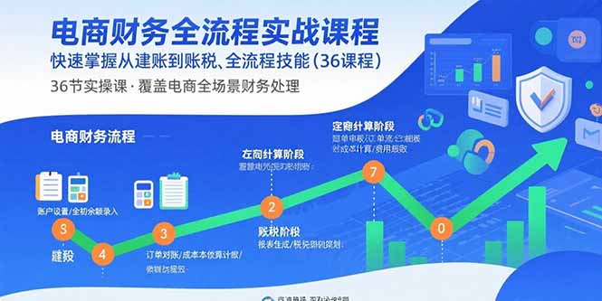 电商会计全攻略：36节课掌握财务与税务实操-资源网站