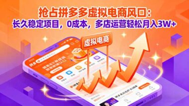 多多虚拟电商-长久稳定带你年入百万-资源网站
