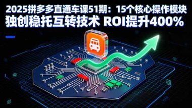 2025拼多多直通车高阶课：15招让销量起飞-资源网站