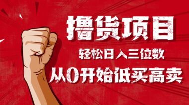 想网赚却怕难？这个小白友好型撸货项目-跟着做就赚-资源网站