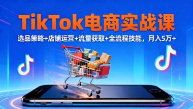 TikTok跨境电商全流程搭建指南-7天学会变现-资源网站