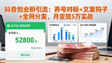 抖音创业粉必看-从养号到变现的实战宝典-资源网站