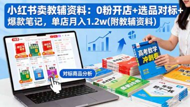小红书同行如何靠虚拟产品年入百万？-资源网站