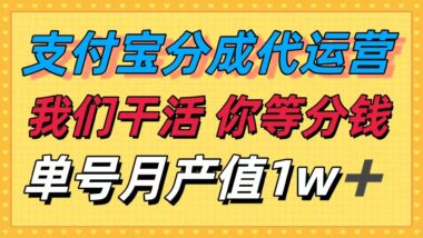 零基础也能躺赚-支付宝托管代运营-月入过万不是梦-资源网站