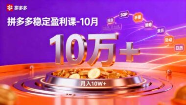 从零到盈利：电商实战大师课-解锁稳定盈利新姿势-资源网站