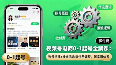 从零到爆款-视频号全案解析与实战指南-资源网站