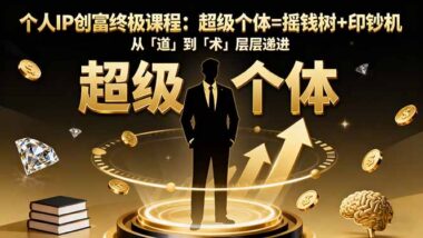 个人IP变现秘籍：让你的品牌成为赚钱机器-资源网站