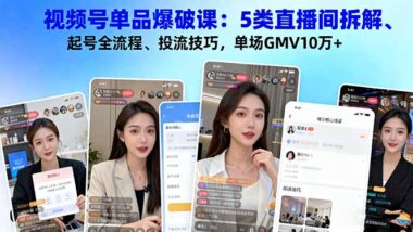 视频号直播间单品爆破的5种卖书类型与实战技巧-资源网站