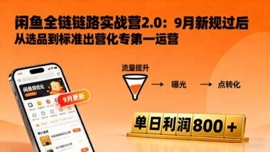 闲鱼变现3.0实战攻略-13节课让你订单量翻倍-资源网站