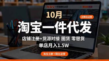 淘宝开店进阶指南：从选品到推广-打造爆款店铺