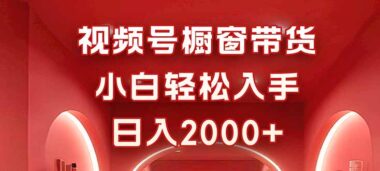 0基础玩转视频号橱窗带货-新手日赚2000+秘籍大公开-资源网站