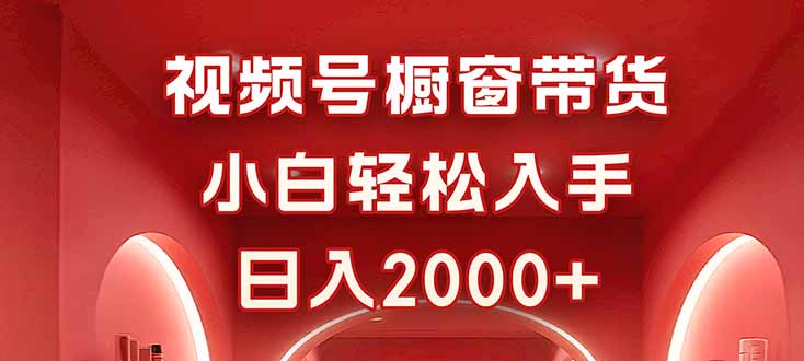 图片[1]-0基础玩转视频号橱窗带货-新手日赚2000+秘籍大公开-资源网站