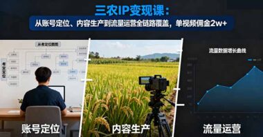 打造高流量三农IP：从零到月入3万的实战指南-资源网站