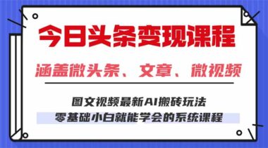 2025今日头条宝藏项目：无脑操作-日入500+不是梦-资源网站