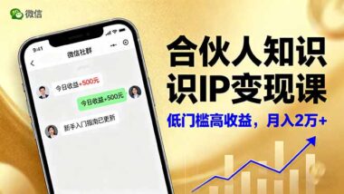 IP合伙人实战营：微信+短视频-3个月被动收入翻3倍-资源网站