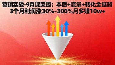 从零到一：营销陪跑训练营助你掌握营销核心法则-资源网站