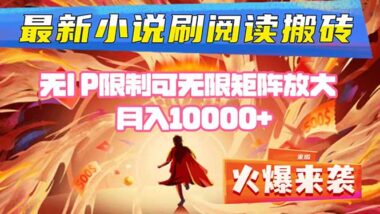 AI写小说+灵泽平台-24小时自动阅读-收益源源不断-资源网站