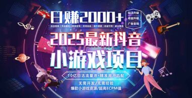 2025必抢风口-0经验躺赚项目-稳定收益+全程保障-小白月入过万攻略