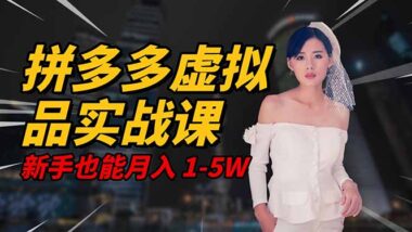 2025稳赚秘籍：拼多多虚拟电商-小白轻松月入5W