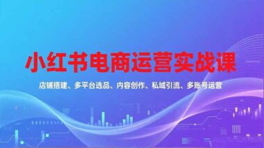 小红书电商运营宝典：从零到爆单的实战进阶课-资源网站