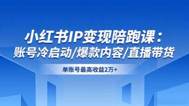 从零到变现达人-小红书IP变现陪跑课手把手教你-资源网站