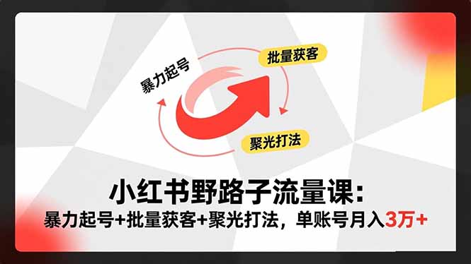 图片[1]-小红书蓝海赛道-暴力起号-批量获客轻松实现