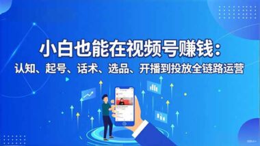 视频号新手逆袭攻略：一站式掌握运营与投放技巧-资源网站