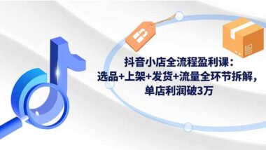 抖店运营全攻略：从0到1-手把手教你打造爆款店铺-资源网站