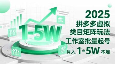 虚拟赛道+拼多多：低门槛高利润-小团队的副业致富密码