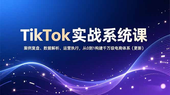 图片[1]-TikTok电商实战指南：从零开始-打造月销千万店铺