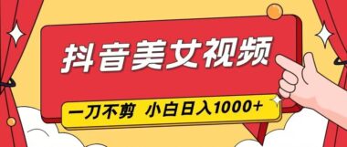 抖音爆款美女视频速成秘籍-零剪辑两分钟出片-新手日赚千元不是梦-资源网站